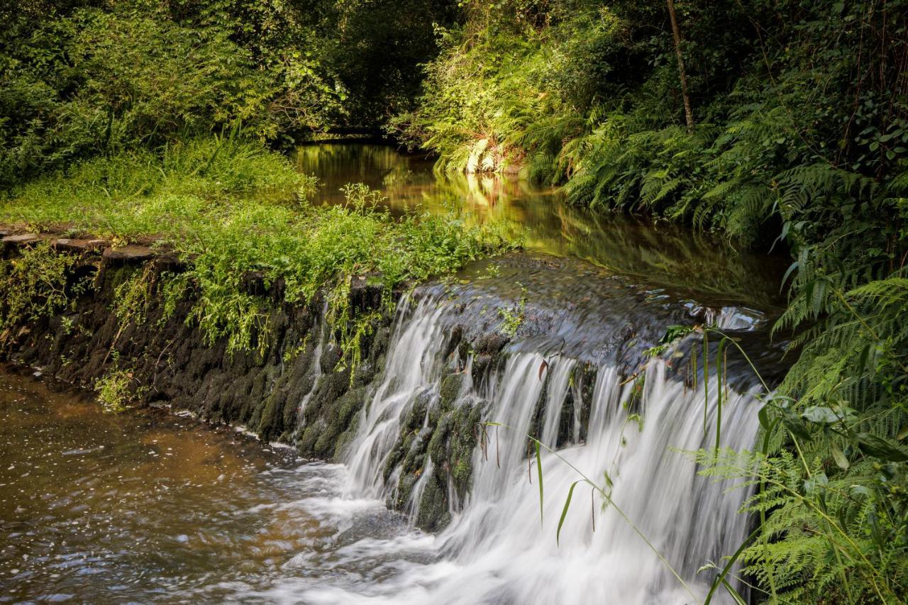Be&See In River Овар Экстерьер фото